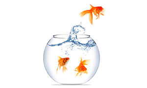 Image Manipulation sample